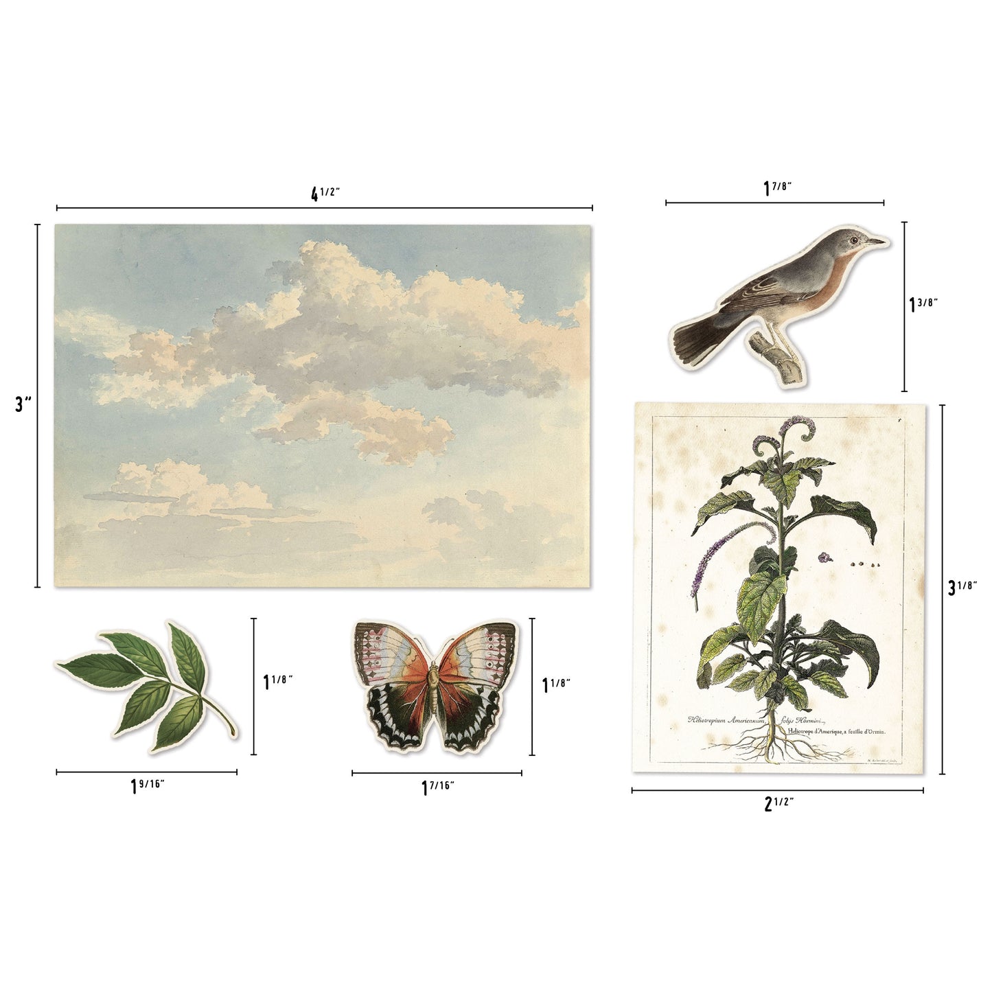Idea-ology Tim Holtz Layers Die-Cuts 45 Pcs - Organic