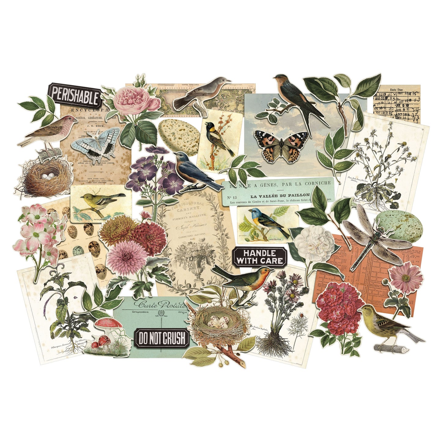 Idea-ology Tim Holtz Layers Die-Cuts 45 Pcs - Organic