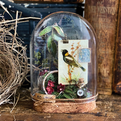Idea-ology Tim Holtz Reliquary Dome - 1 Piece