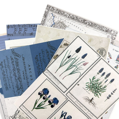 49 And Market Color Swatch: Inkwell Collage Sheets 6"X8" - 40 Pcs