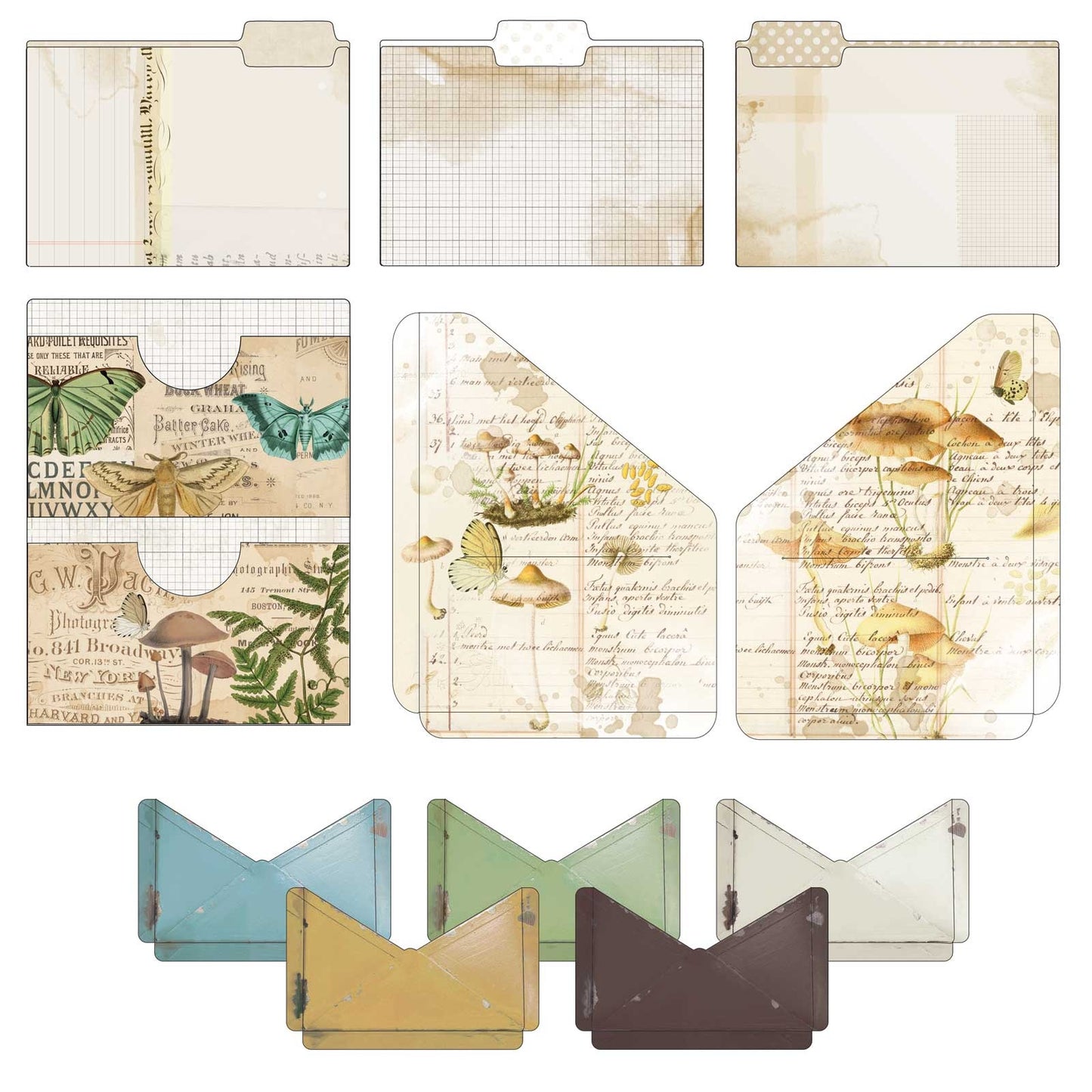 49 And Market Nature Study Essential File Set - 11 Pcs