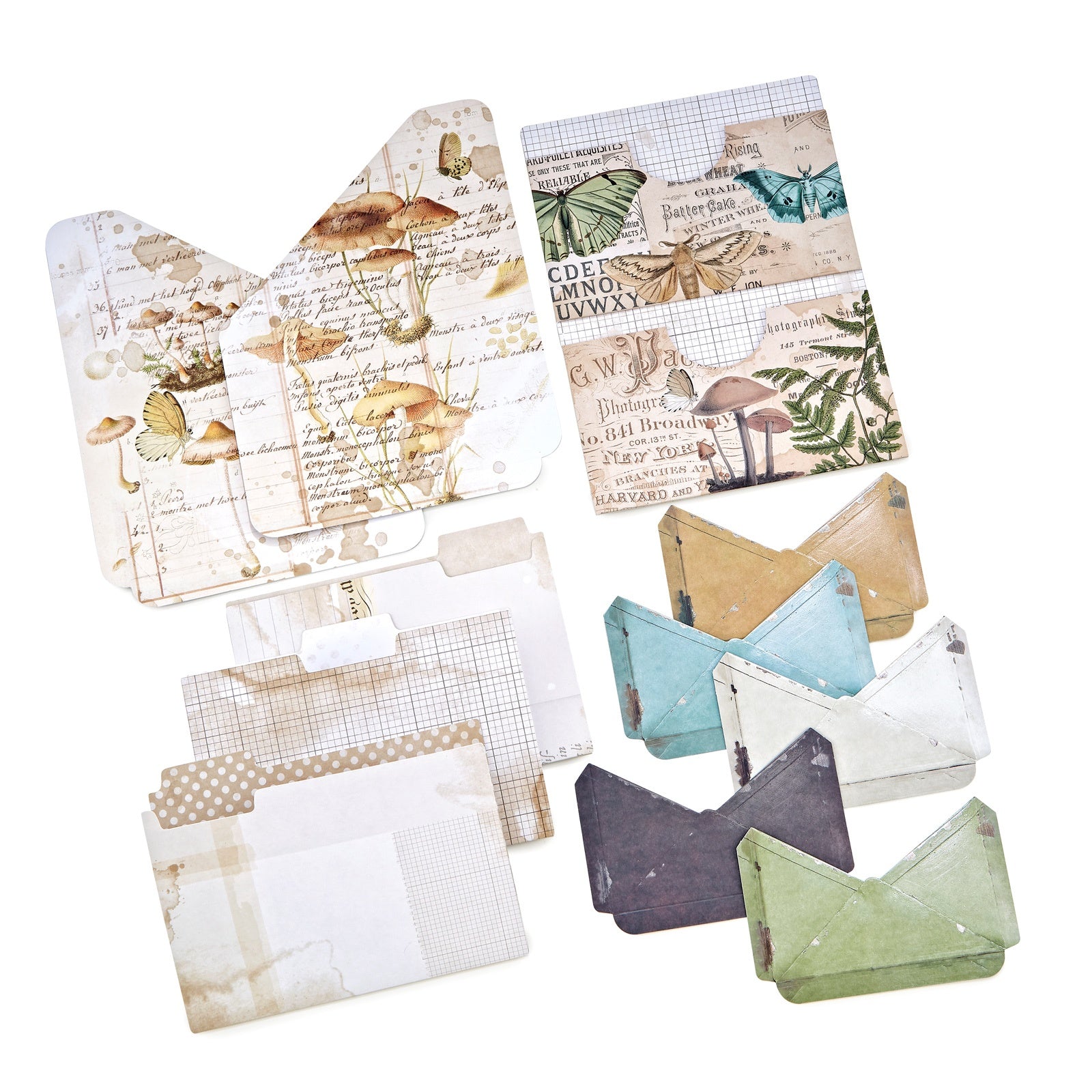 49 And Market Nature Study Essential File Set - 11 Pcs – AALL & Create