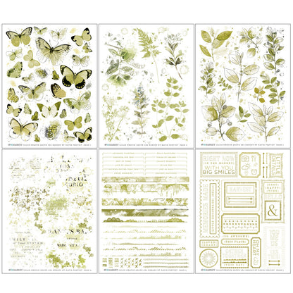 49 And Market Color Swatch: Grove Rub-Ons 6"x8" - 6 Pcs