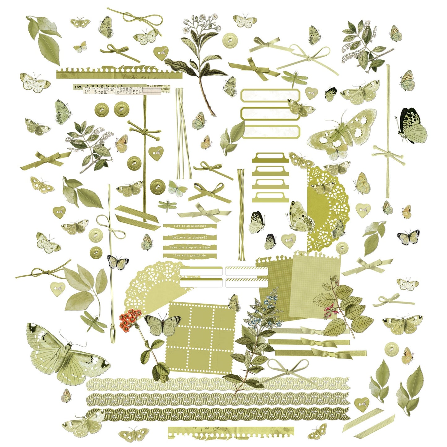 49 And Market Color Swatch: Grove Laser Cut Outs - Elements