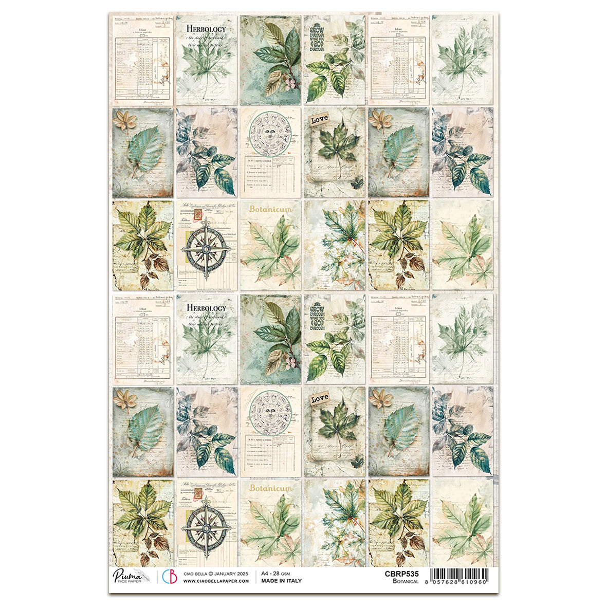 Ciao Bella Cabinet of Curiosities A4 Rice Paper Botanical (1pc)