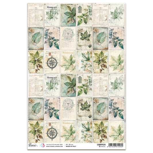 Ciao Bella Cabinet of Curiosities A4 Rice Paper Botanical (1pc)