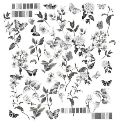 49 And Market Color Swatch: Charcoal Acetate Assortment - 58 Pcs