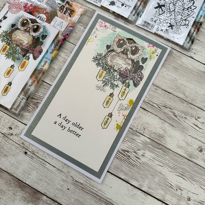 TP-865 - A6 Clear Stamp Set - Owl's Crystals