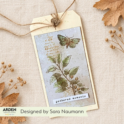 Arden Creative Studio Amber Ledgers Complete Collection (Save £20!)