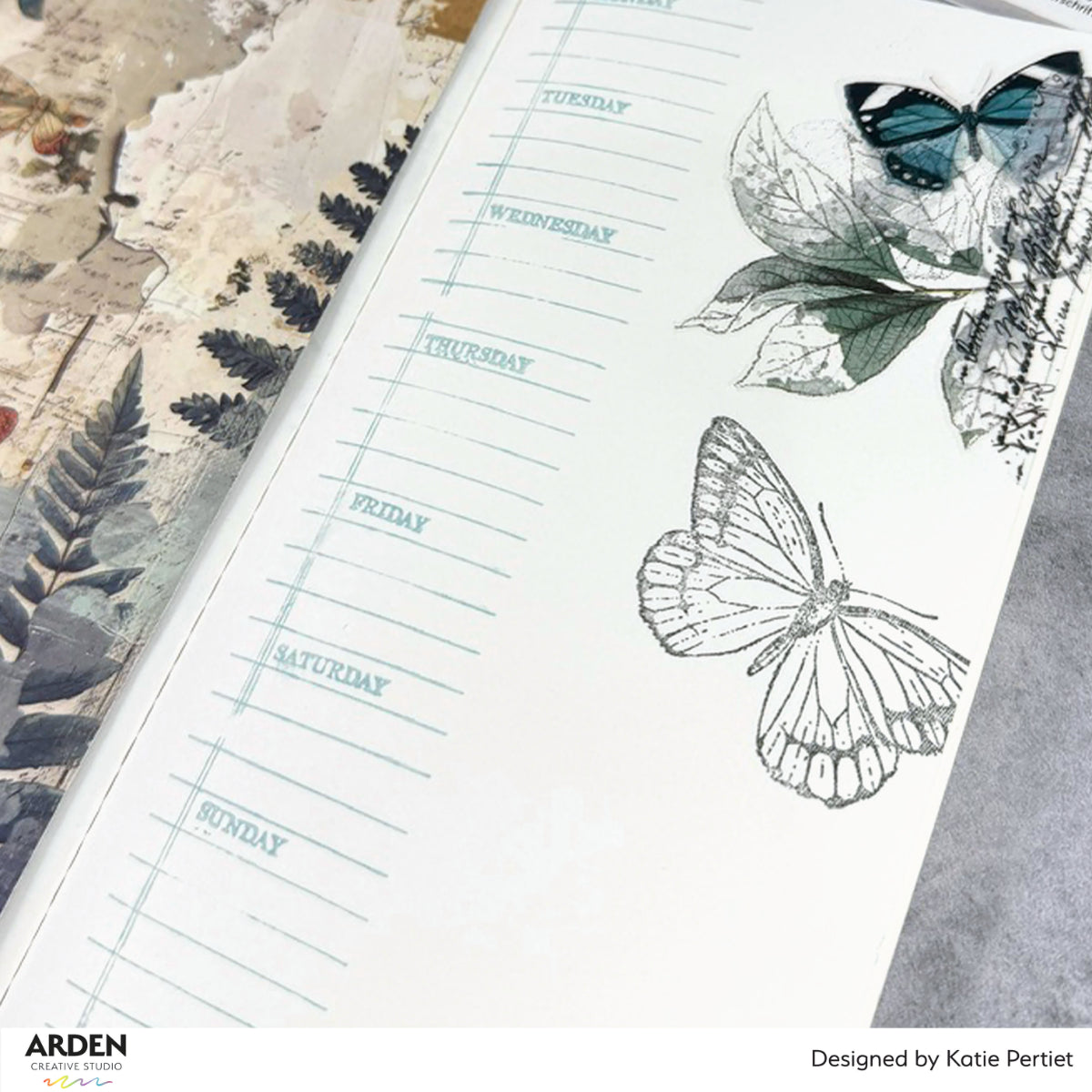 Arden Creative Studio Amber Ledgers Essentials Laser Cuts