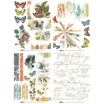 Arden Creative Studio Amber Ledgers 6in x 8in Rub-On Transfer Set