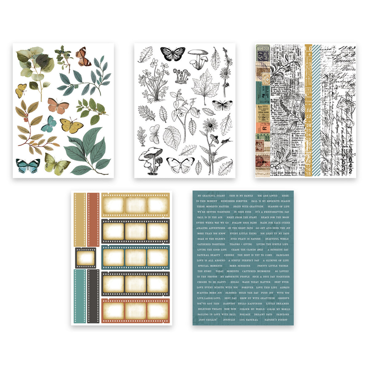 Arden Creative Studio Amber Ledgers Sticker Book