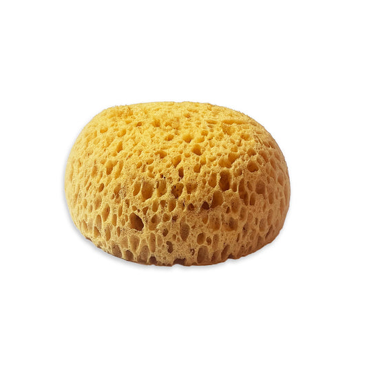 Stamperia Art Stories Sponge Paint