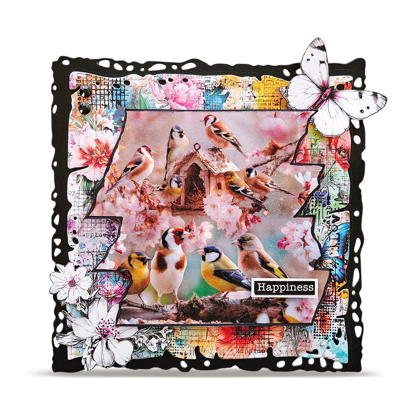 July 2026 Complete Collection (Save £80) + Free Poster & Bio Cards