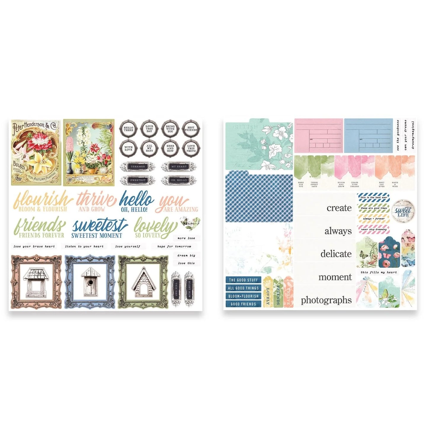 Arden Creative Studio Field Notes Ephemera Pack
