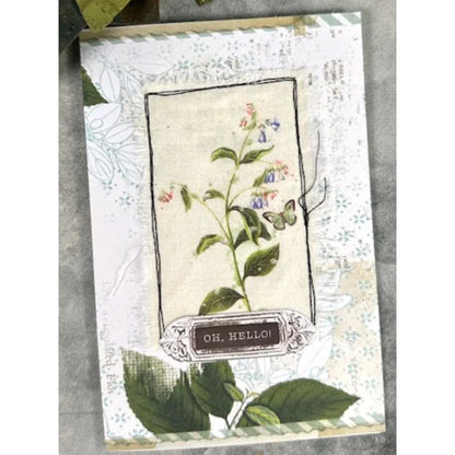 Arden Creative Studio February 2026 Complete Collection ~ Field Notes