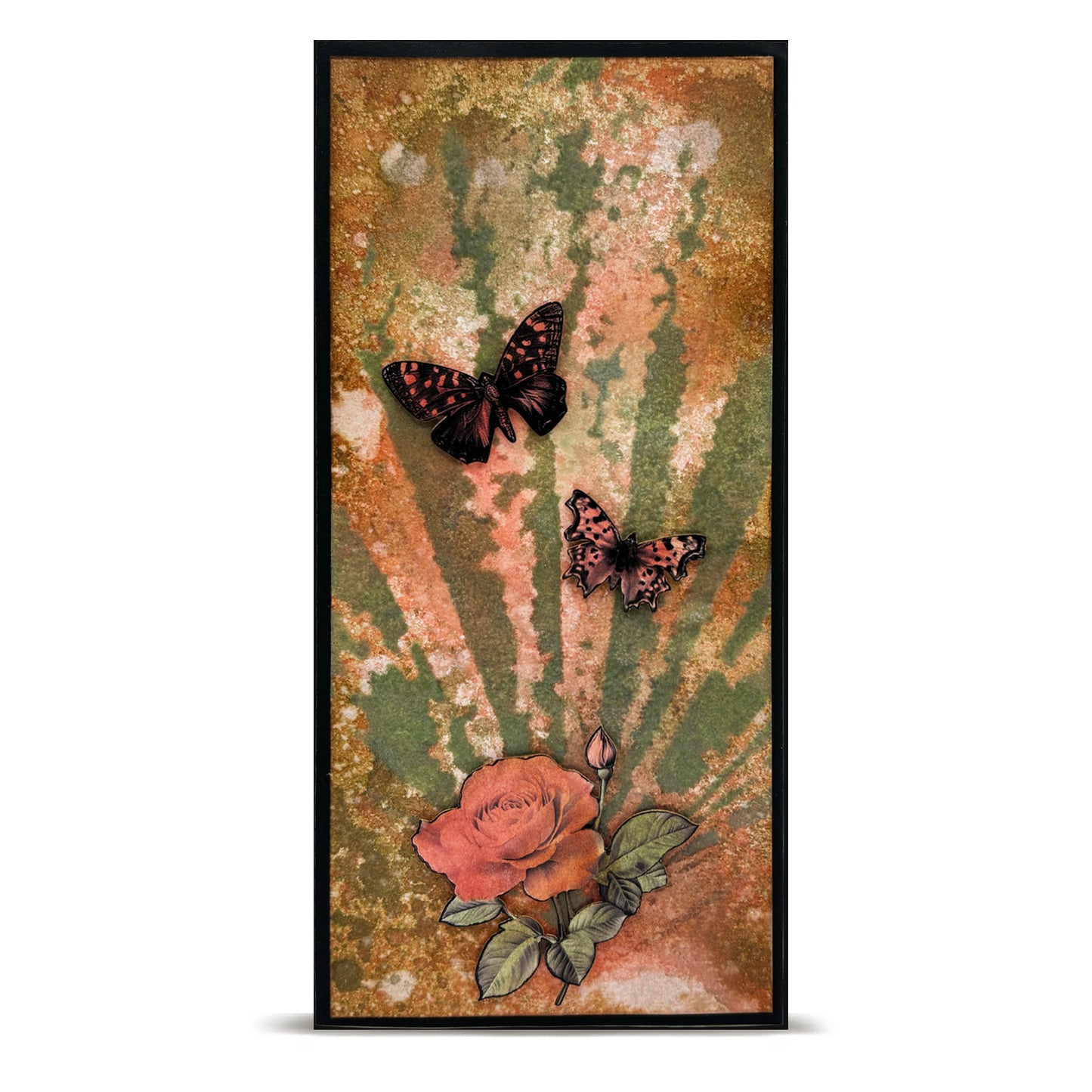 February 2026 Complete Collection