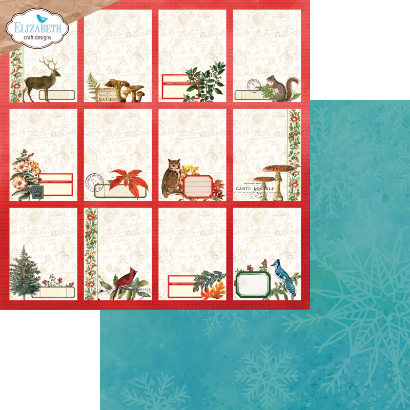 Elizabeth Craft Designs Cozy Comfort 12x12 Inch Patterned Cardstock by Everyday Memories