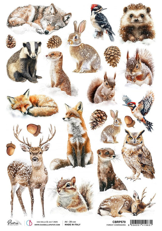 Ciao Bella Forest Tales A4 Rice Paper Forest Companions (1pc)