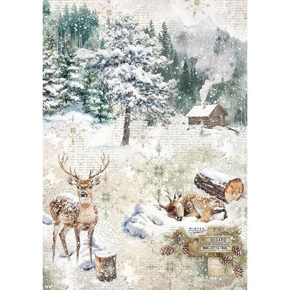 Ciao Bella Forest Tales A5 Rice Paper Mixed (8pcs)