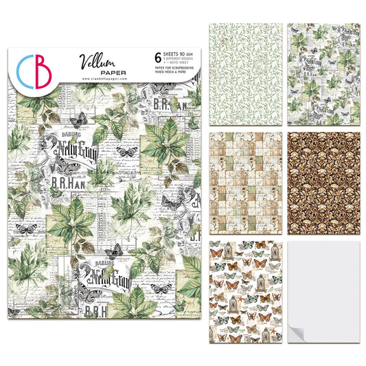 Ciao Bella Cabinet of Curiosities A4 Vellum Paper Patterns (6pcs)