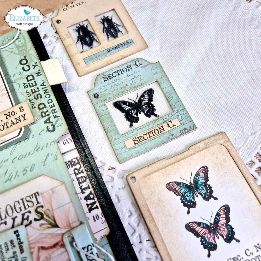 Elizabeth Craft Designs Bonanical Blend - Stamps Postage Stamps 3