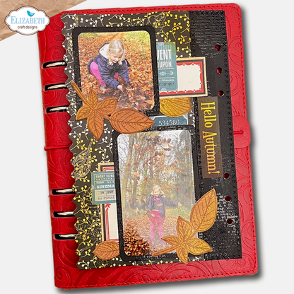 Elizabeth Craft Designs Cozy Comfort Stamp and Die Set Seasonal Words & Leaves by Everyday Memories