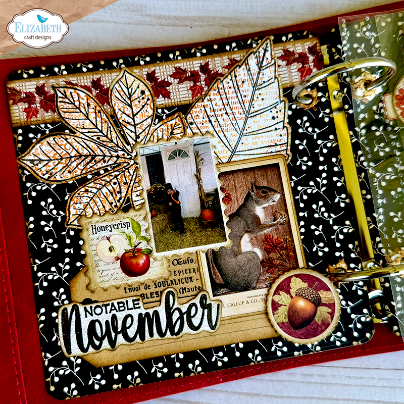 Elizabeth Craft Designs Cozy Comfort Complete Collection (Save £20) Preorder*