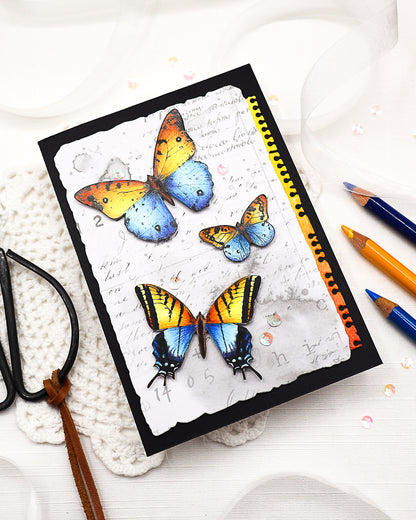 Inkblot Meadow Design Paper & Pollen Drift Ephemera Bundle