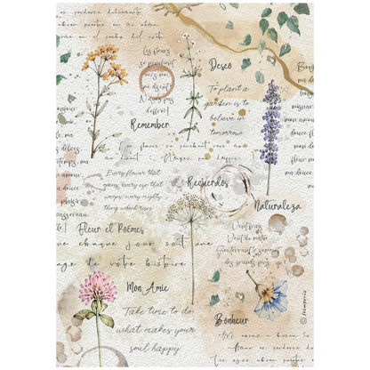 Stamperia Flowers and Poems A4 Rice Paper Selection (6pcs)