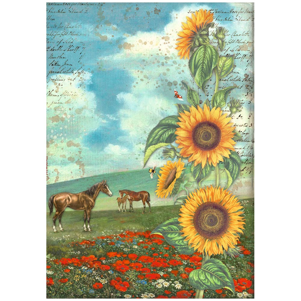Stamperia Selection of 6 A4 Rice Paper Sunflower Art