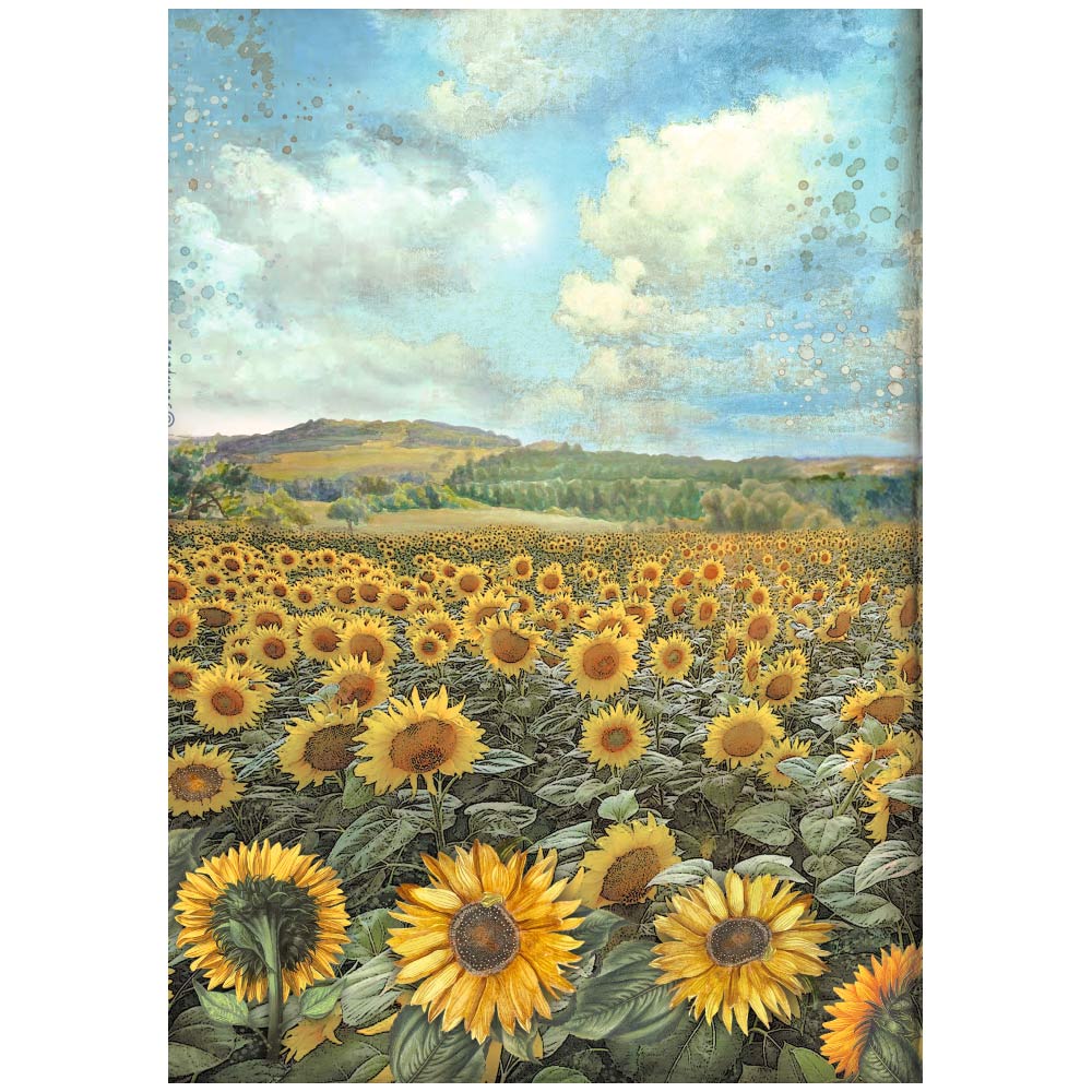 Stamperia Selection of 6 A4 Rice Paper Sunflower Art