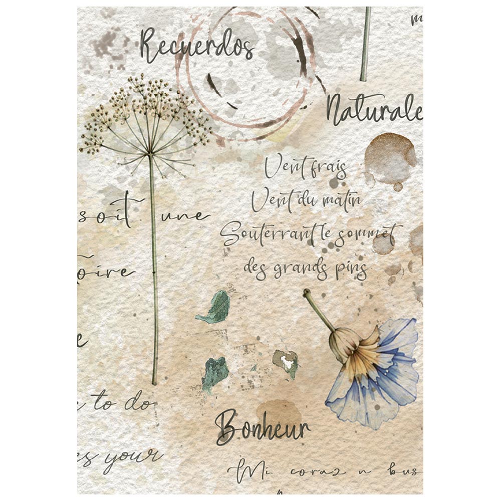 Stamperia Flowers and Poems A6 Mini Rice Paper Selection (8pcs)