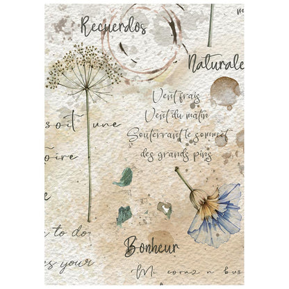 Stamperia Flowers and Poems A6 Mini Rice Paper Selection (8pcs)