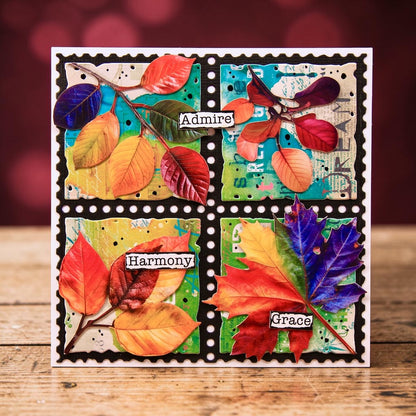 Autour de Mwa Geary Cutouts Cutting Dies Bundle