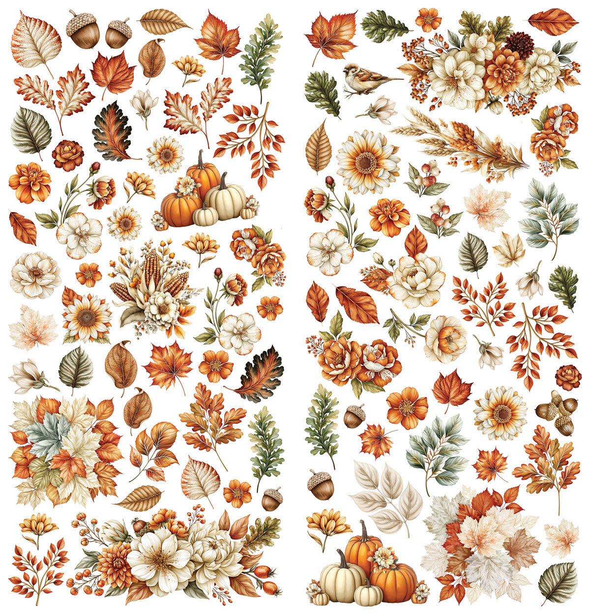 49 And Market Season's Bounty Laser Cut Wildflowers