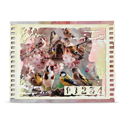 MT-154 - Washi Tape - Bird Feast (Layer-It-Up!)