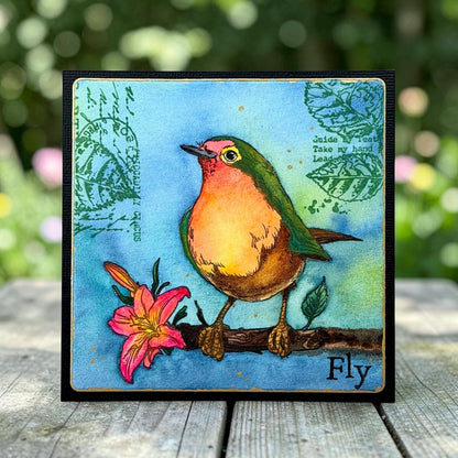 TP-1349 - A6 Stamp Set - Robin Sprout