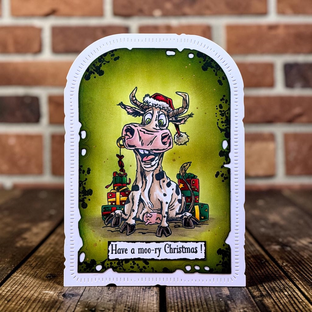 August 2026 Christmas Complete Collection + Free Poster & Bio Cards (Save £30)