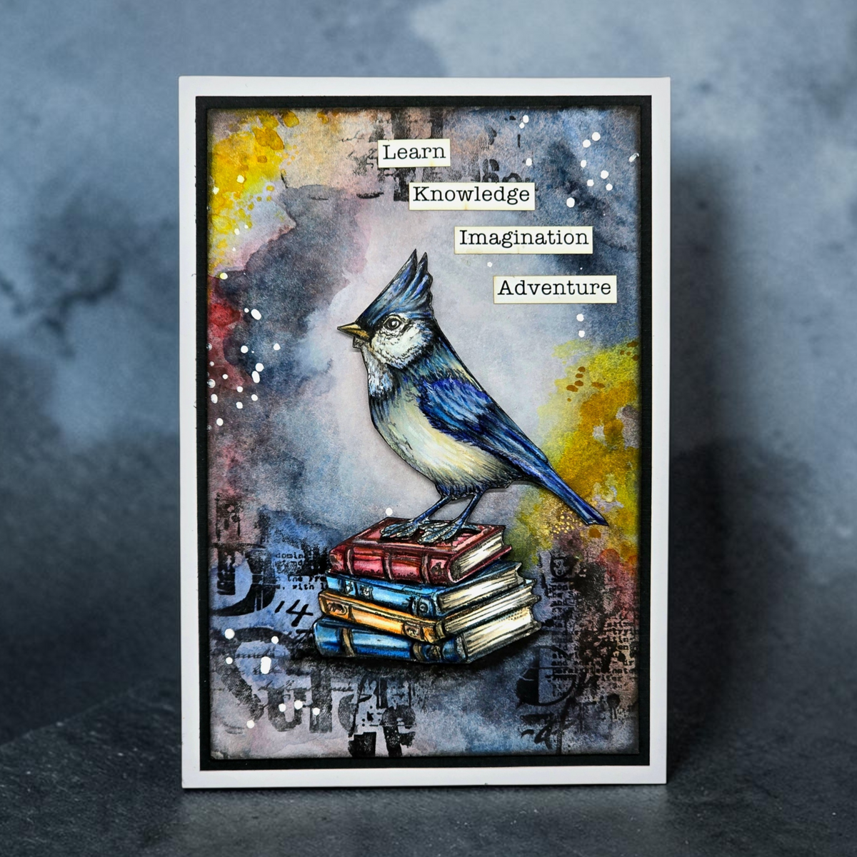TP-1352 - A7 Stamp Set - Cardinal Stare