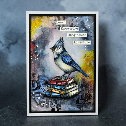 TP-1352 - A7 Stamp Set - Cardinal Stare