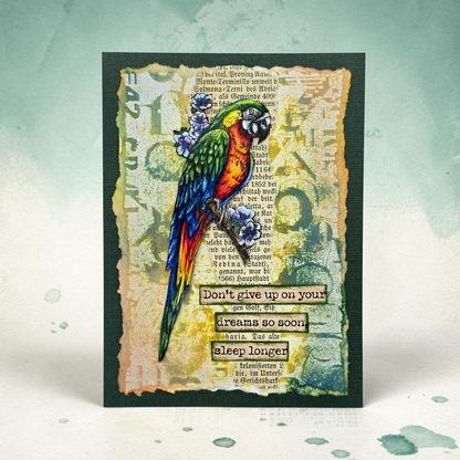 TP-1348 - A6 Stamp Set - Parrot Song