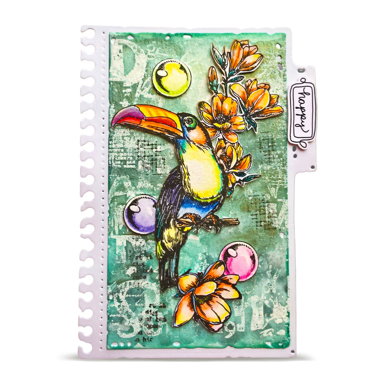 TP-1347 - A6 Stamp Set - Bubbly Toucan