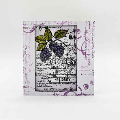 Nature's Impressions Stamp Bundle