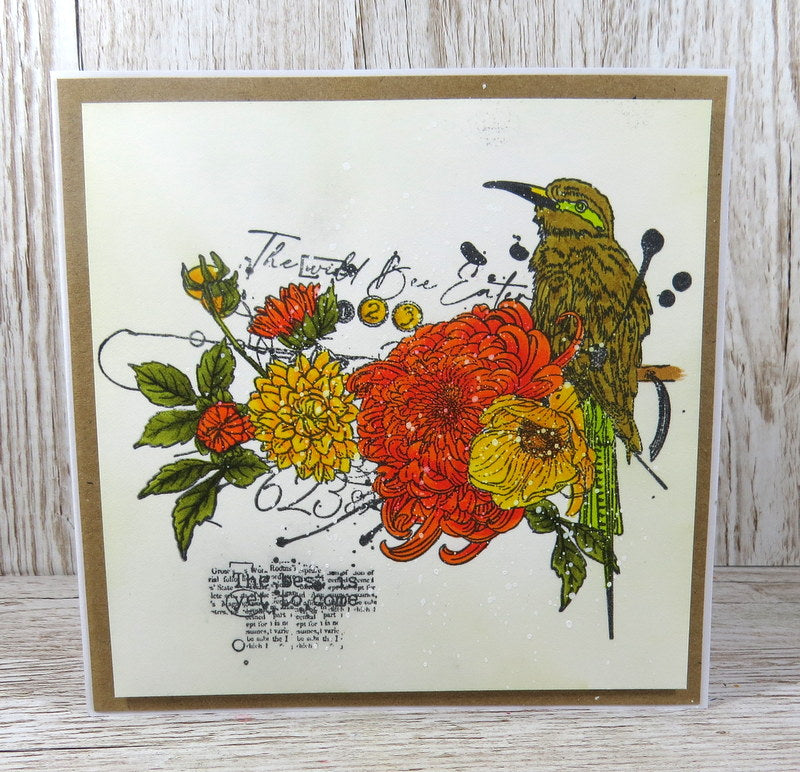 TP-744 - A5 Clear Stamp Set - Be A Little Flashy