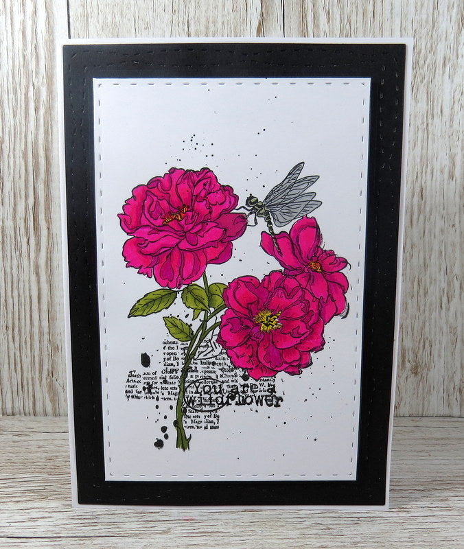 TP-745 - Visiting The Flowers - A5 Clear Stamp Set