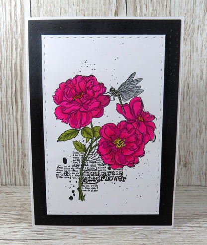 TP-745 - Visiting The Flowers - A5 Clear Stamp Set