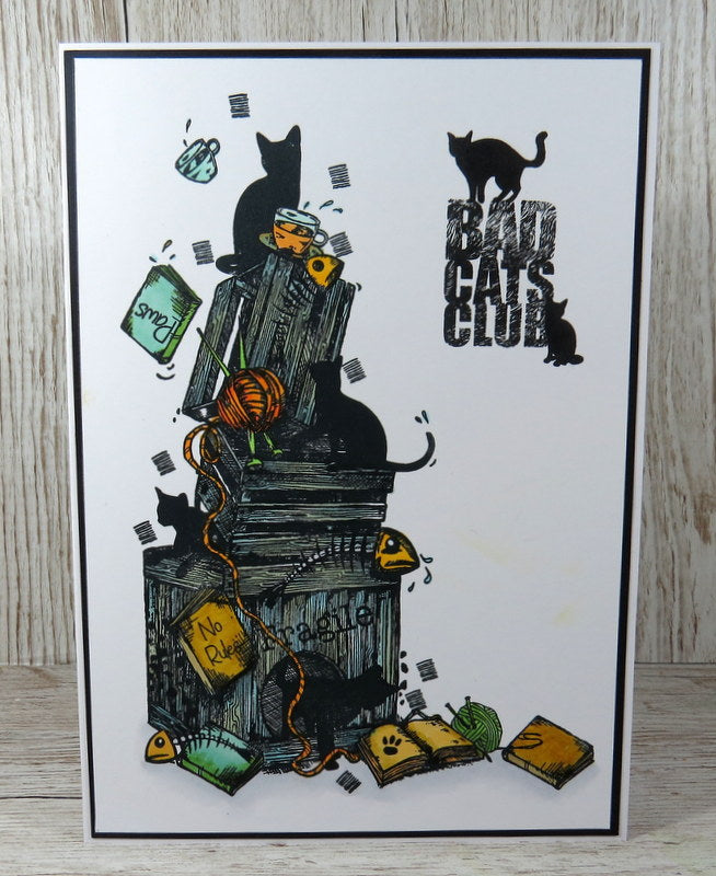 TP-793 - A5 Clear Stamp Set - Bad Cats Club