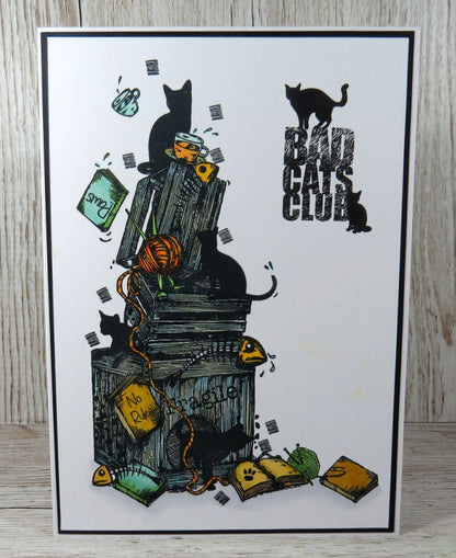 TP-793 - A5 Clear Stamp Set - Bad Cats Club