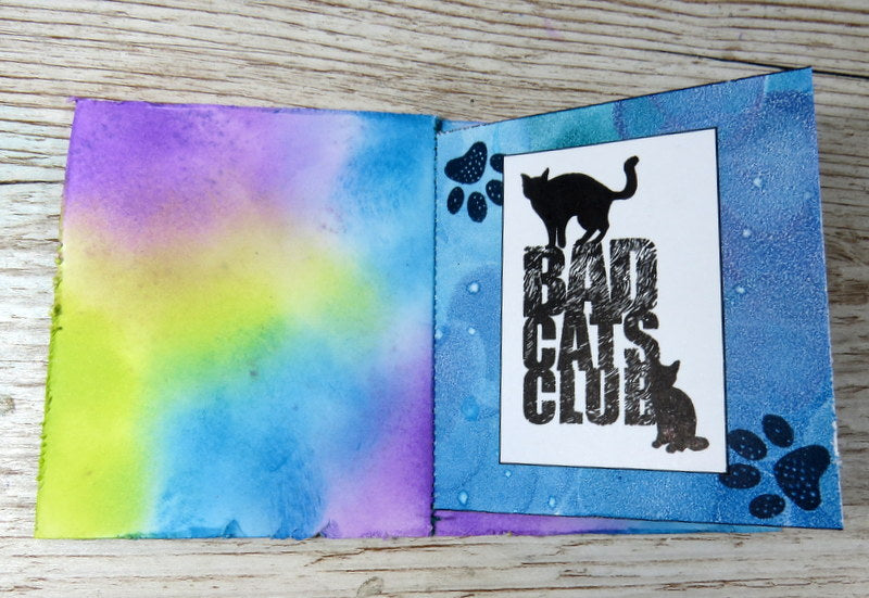 TP-793 - A5 Clear Stamp Set - Bad Cats Club